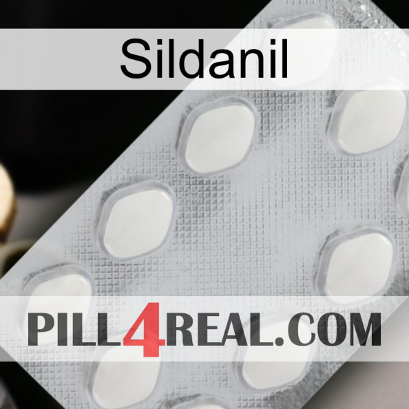 Sildanil 16.jpg